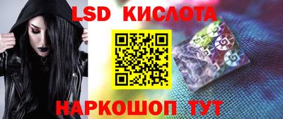 шишки Брянск