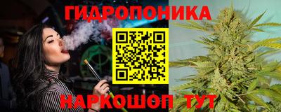 бошки Боровичи