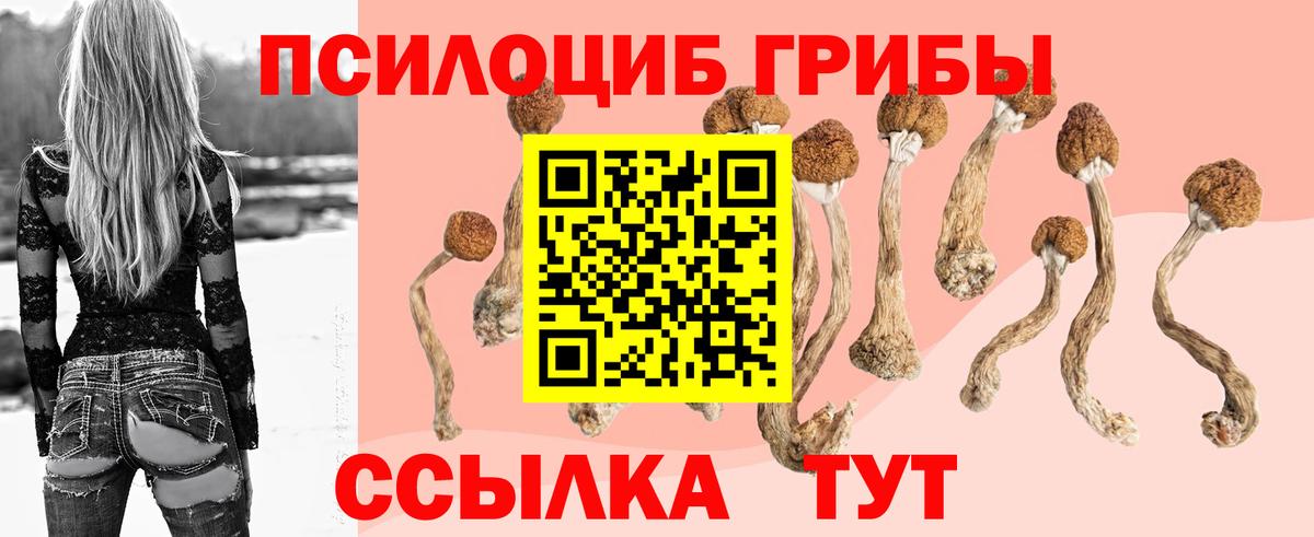 Галлюциногенные грибы мухоморы Моздок