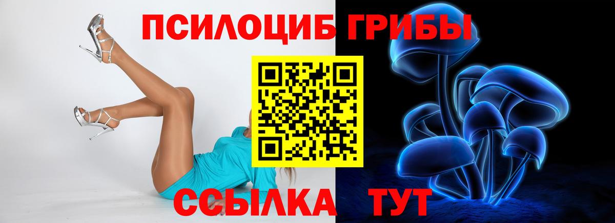 Псилоцибиновые грибы MAGIC MUSHROOMS  Вход с VPN  Псилоцибиновые грибы мицелий  Моздок 